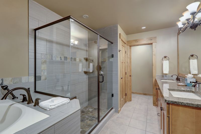 Contemporary Shower Area